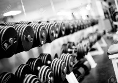 4654132-Weights-and-Free-Weights-in-a-Gym-Stock-Photo-244x173